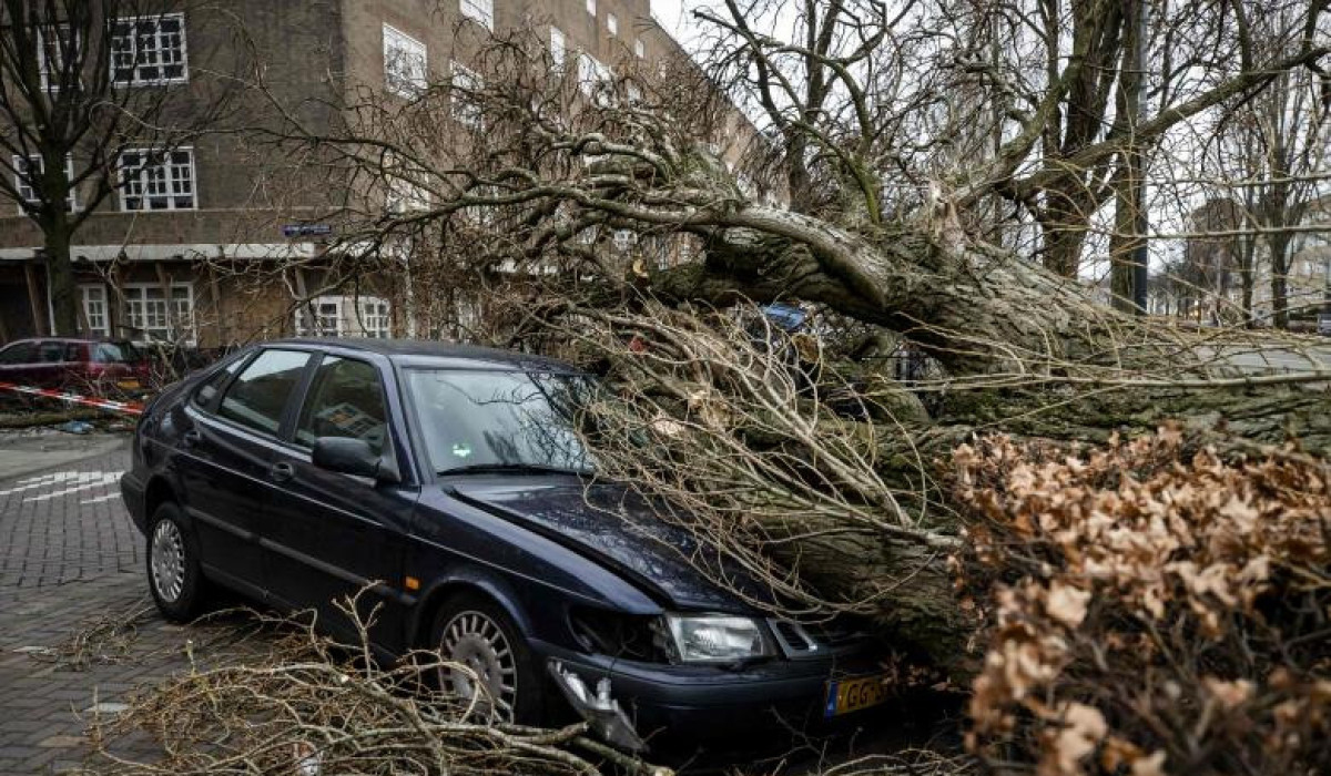 Falling trees kill three as Storm Eunice hits the Netherlands